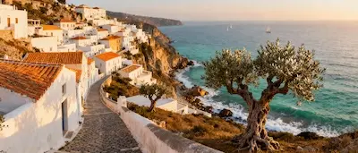 Puglia — Between Ancient Olive Groves and Golden Shores